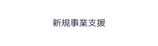 新規事業支援